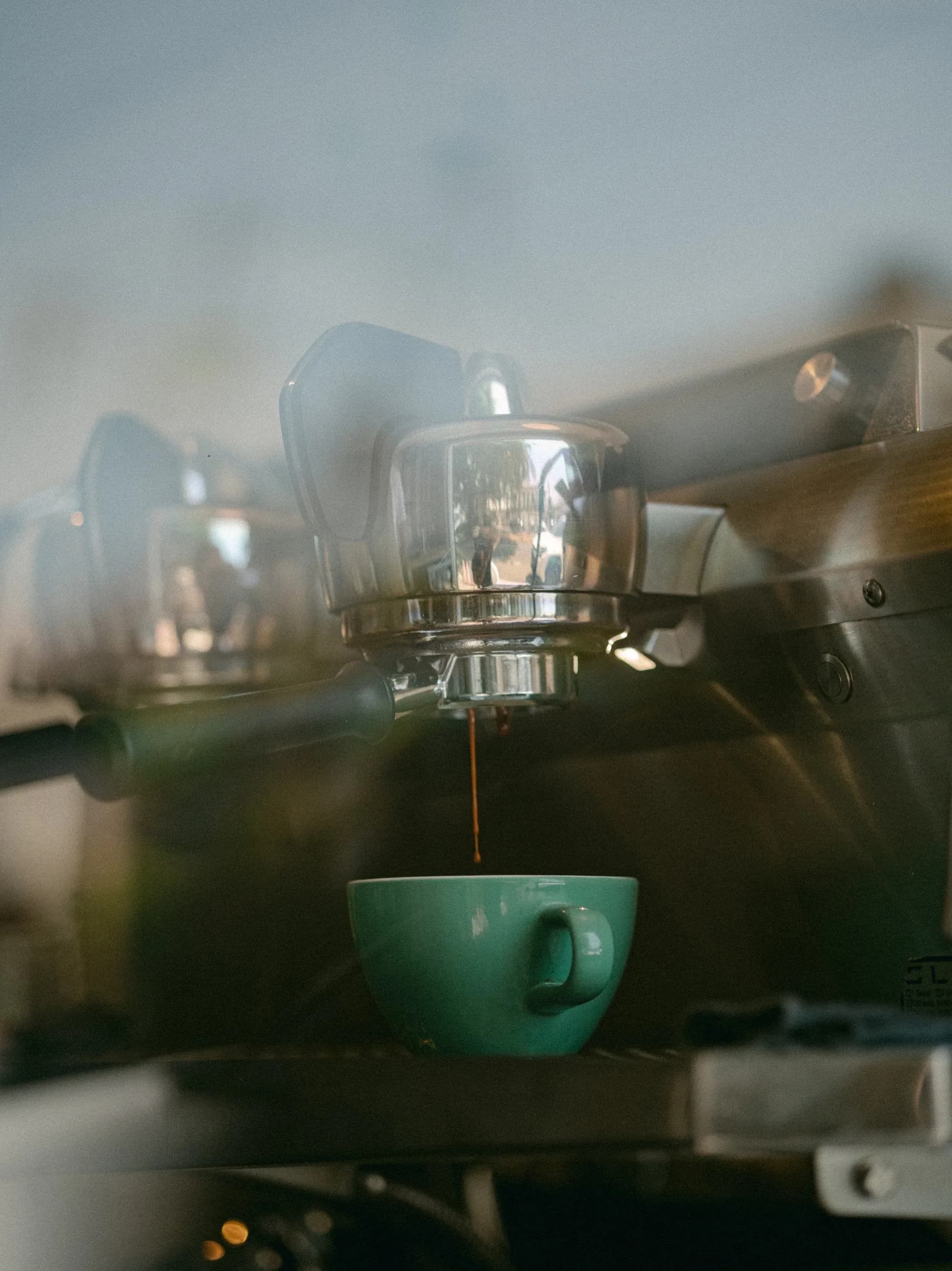 Una taza de café de IMPETUS compartida en la mesa